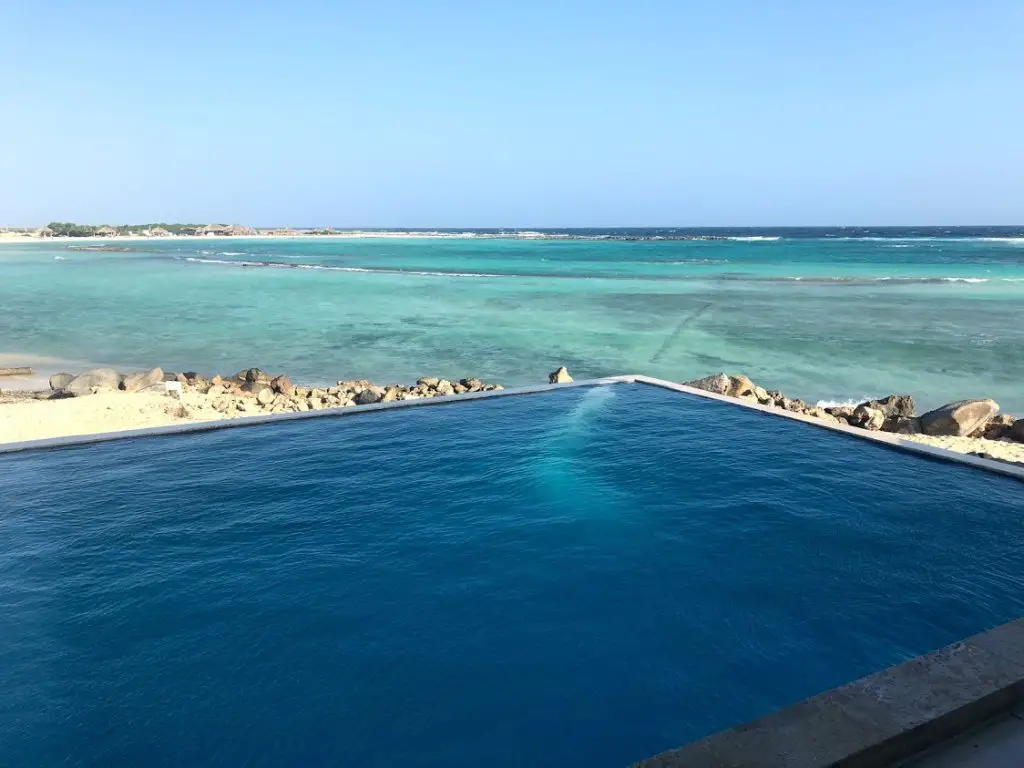 rum reef infinity pool overlooking the turquoise ocean