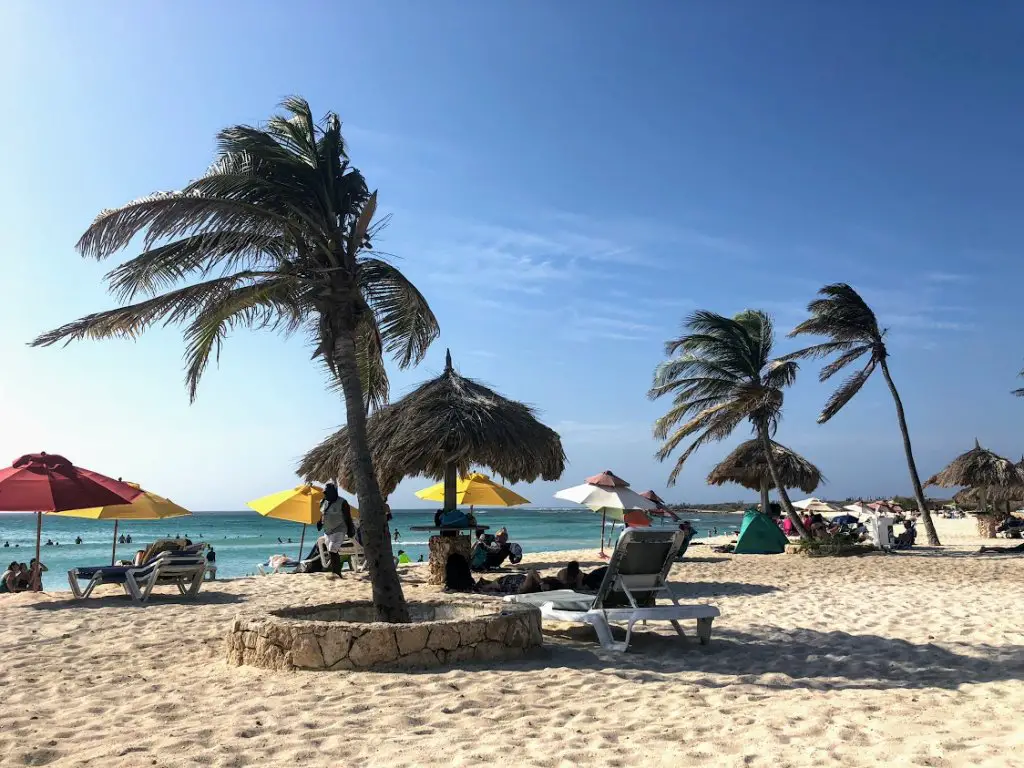arashi beach with palm trees in the wind, white sand and aqua ocean is perfect beach day in aruba