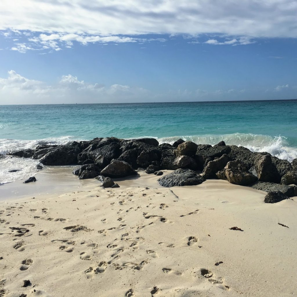 beach day in aruba