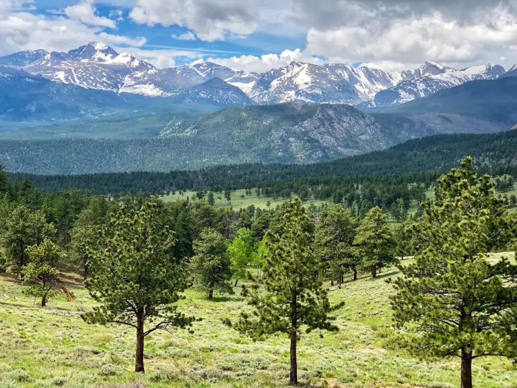 beaver meadows rocky mountain national park with trees and mountain views