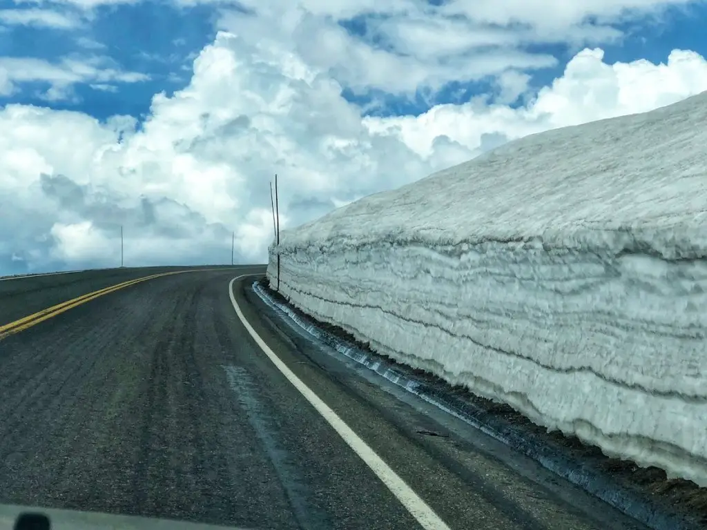 driving trail ridge road