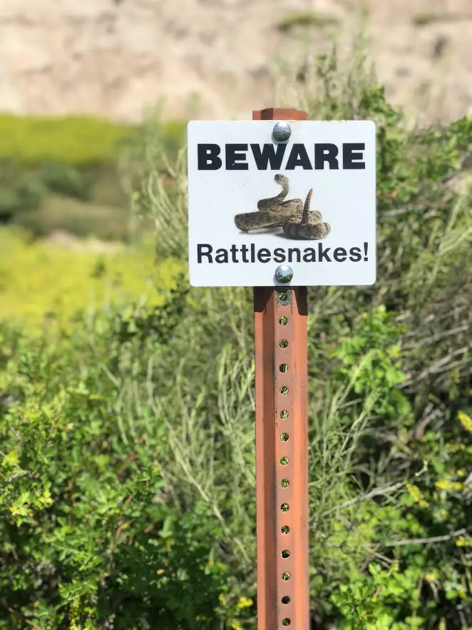 rattlesnakes sign in badlands south dakota