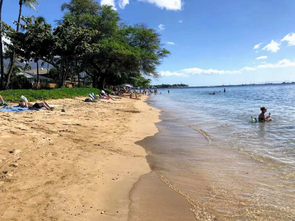 baby beach maui