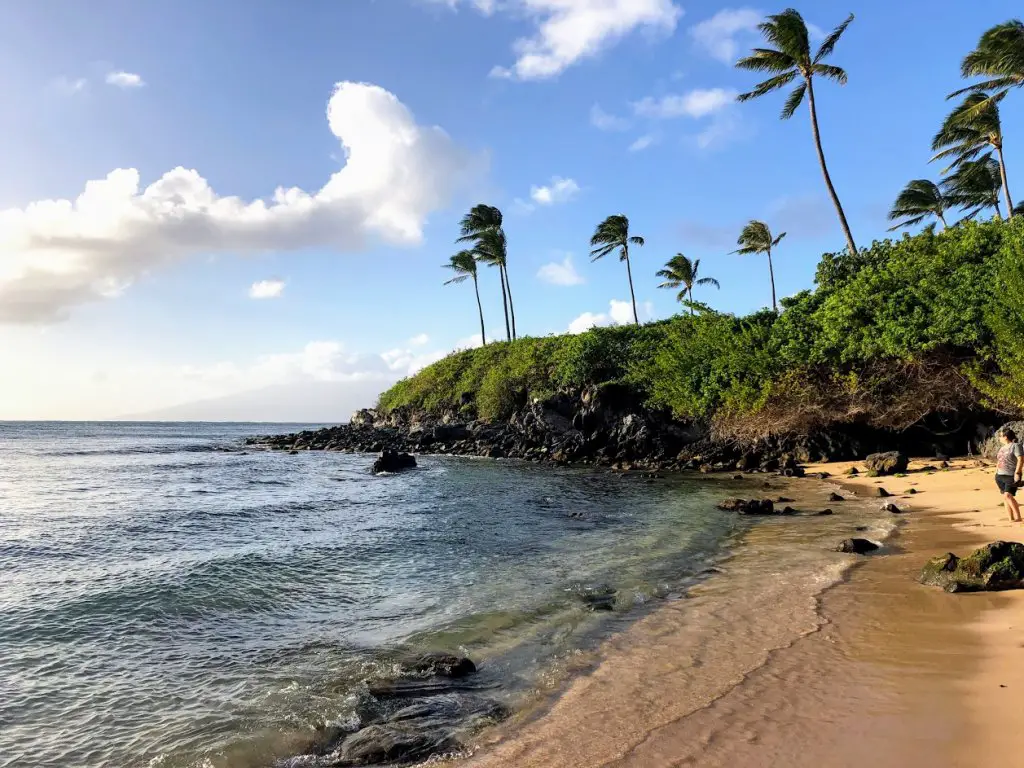 kapalua bay beach