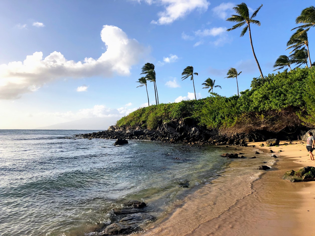 What to Do on Maui: 6+ Fun Things to Do - Little Blue Backpack