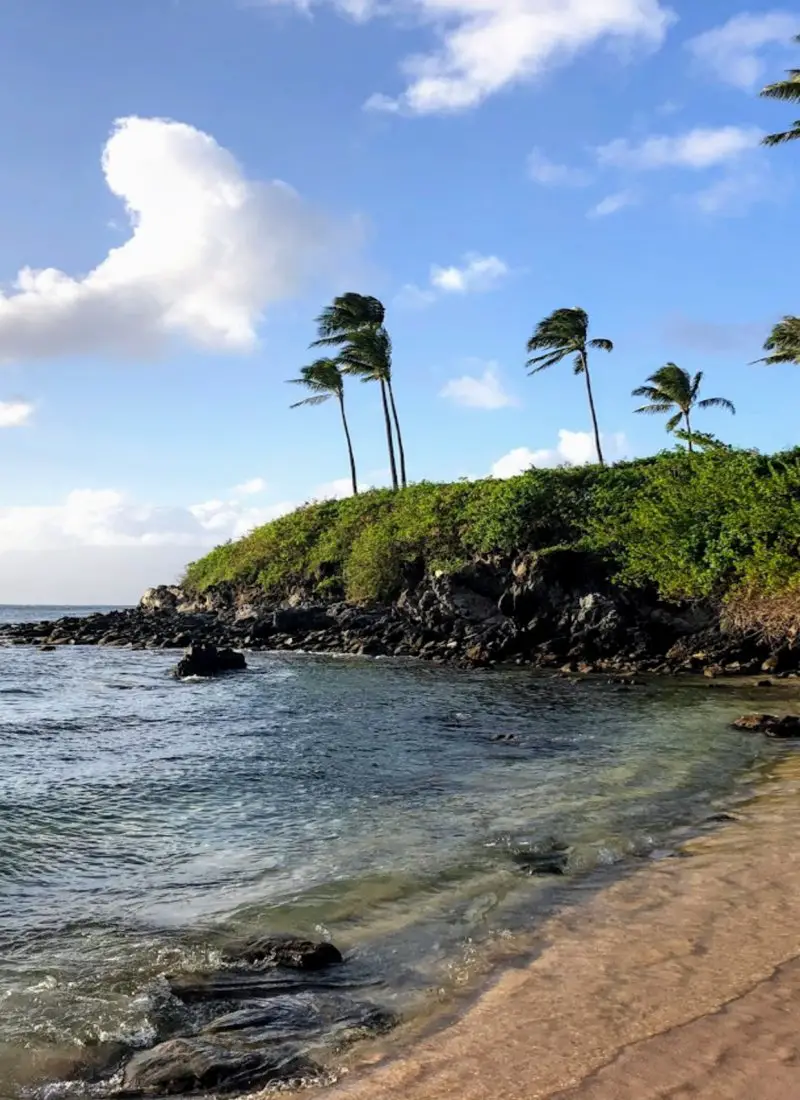 What to Do on Maui: 6+ Fun Things to Do