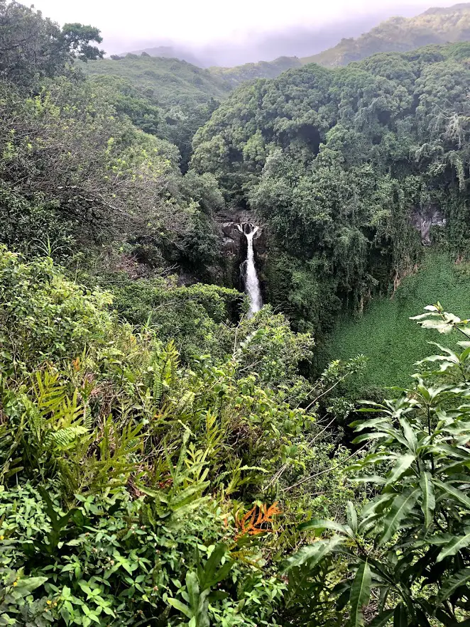 pipiwai trail overlook on road to hana