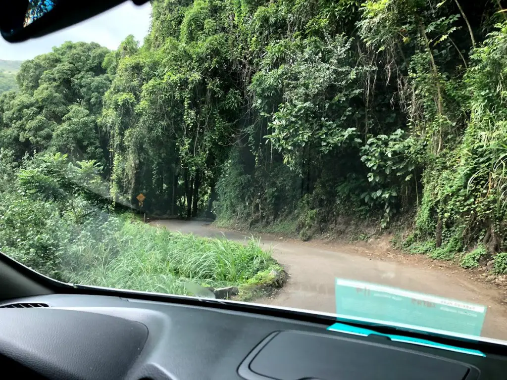 road to hana curves