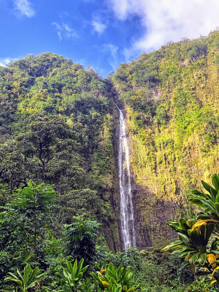 road to hana Waimoku Falls