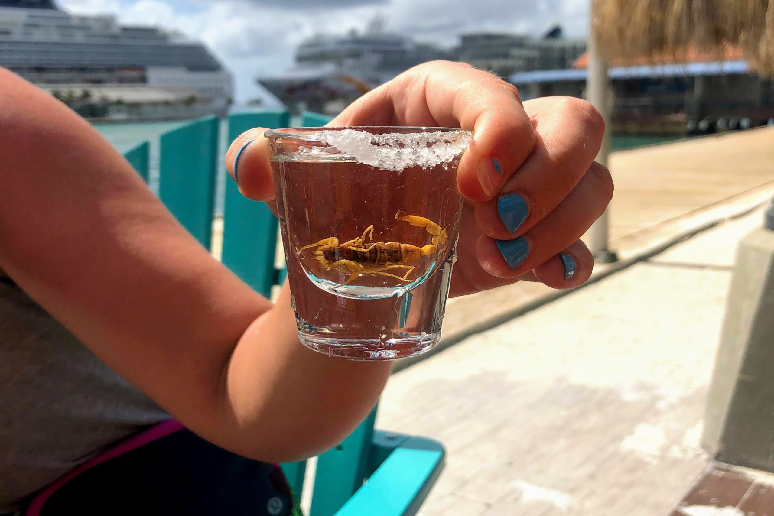 The Best Bars in Aruba Where to Party Little Blue Backpack