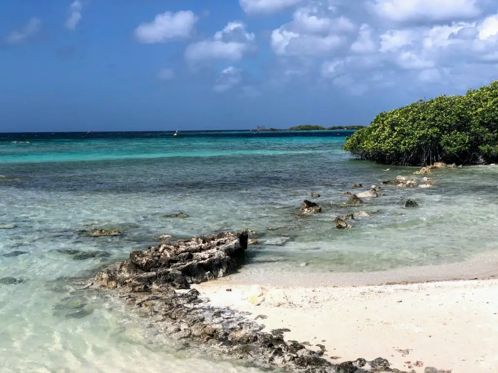 mangel halto beach day in aruba