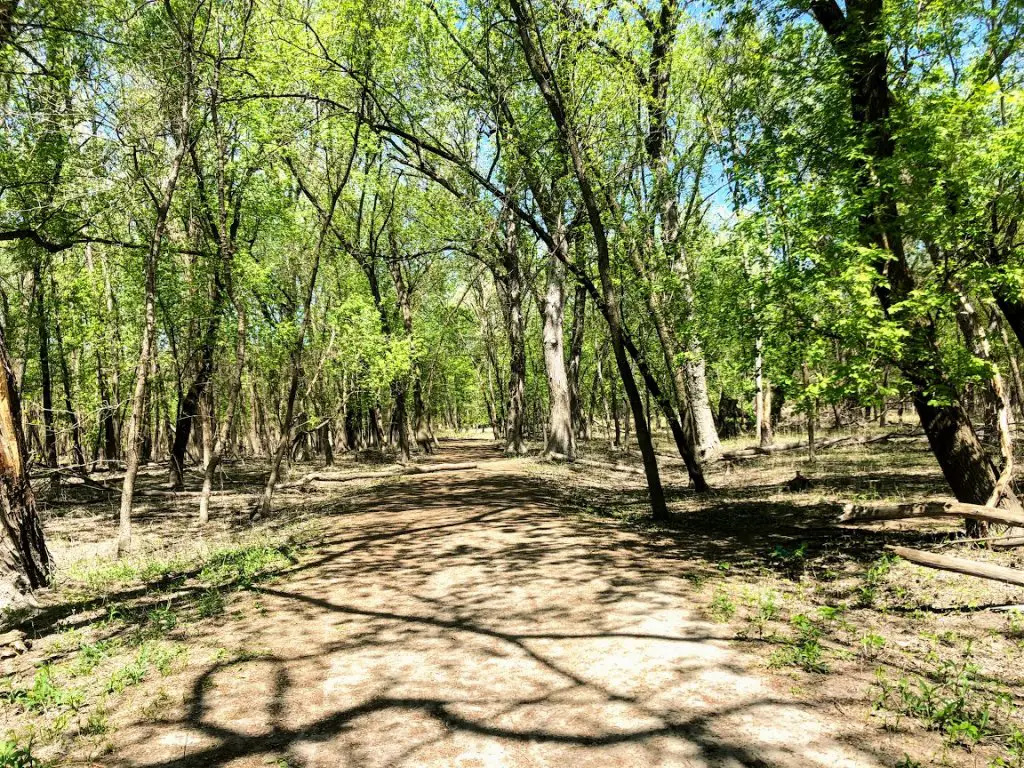 spring hiking trails in Minnesota woods