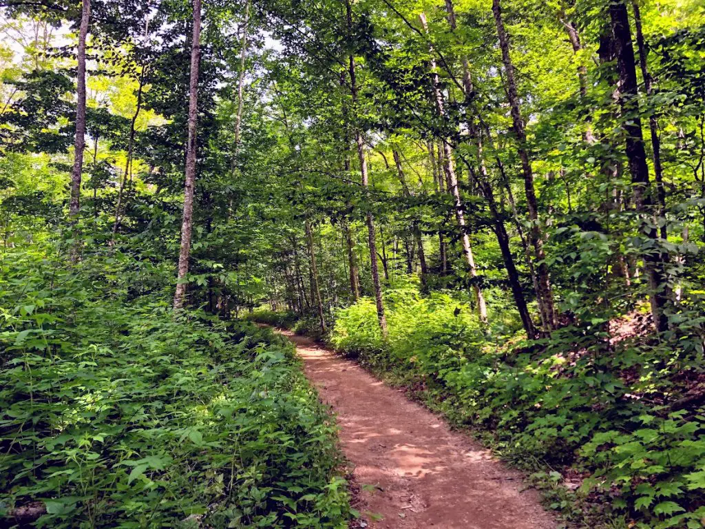 chapel falls hike 