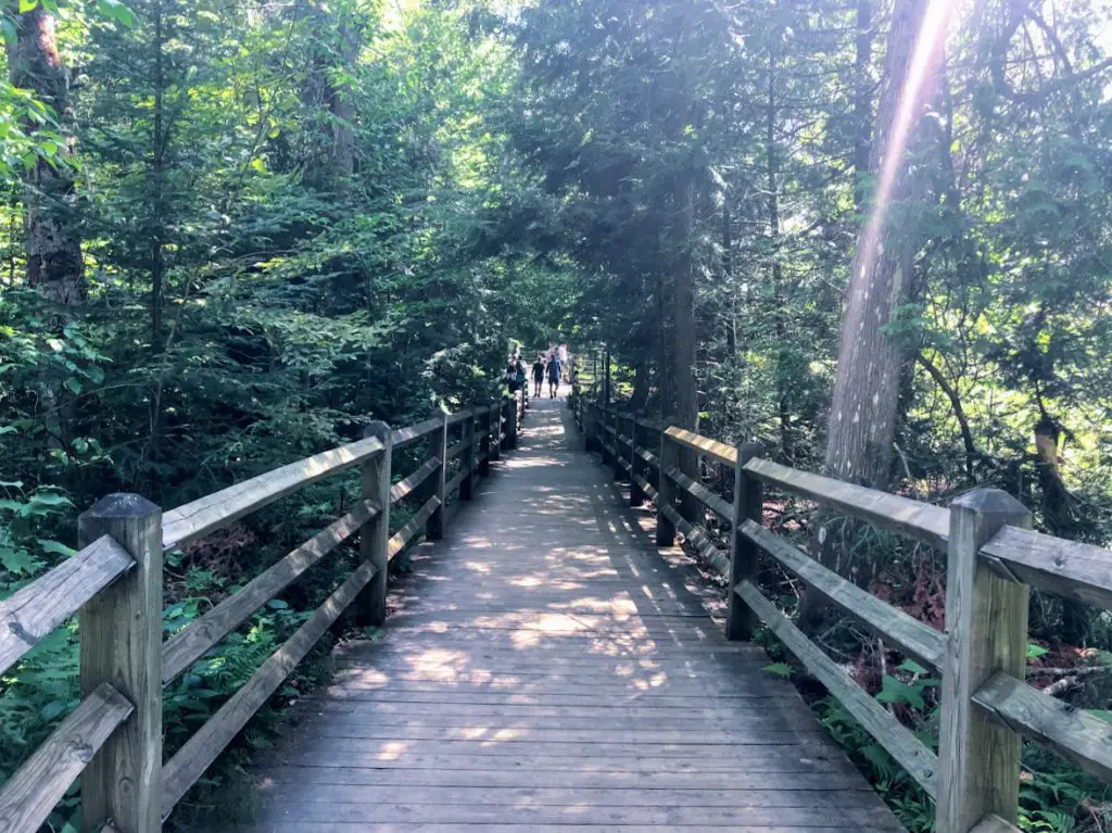 lower falls river trail paradise michigan