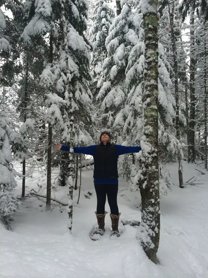 winter upper peninsula