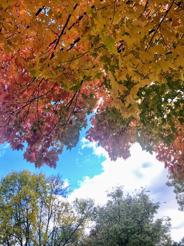 minnnesota fall colors