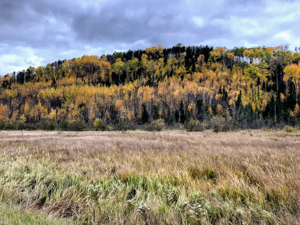 gunflint trail minnesota