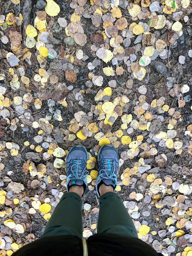 hike at gunflint trail