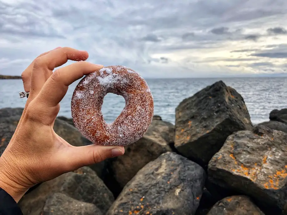 worlds best donuts grand marais minnesota