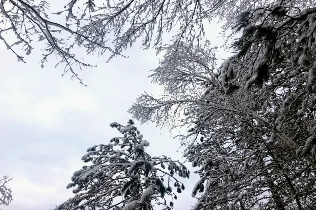 minnesota during winter