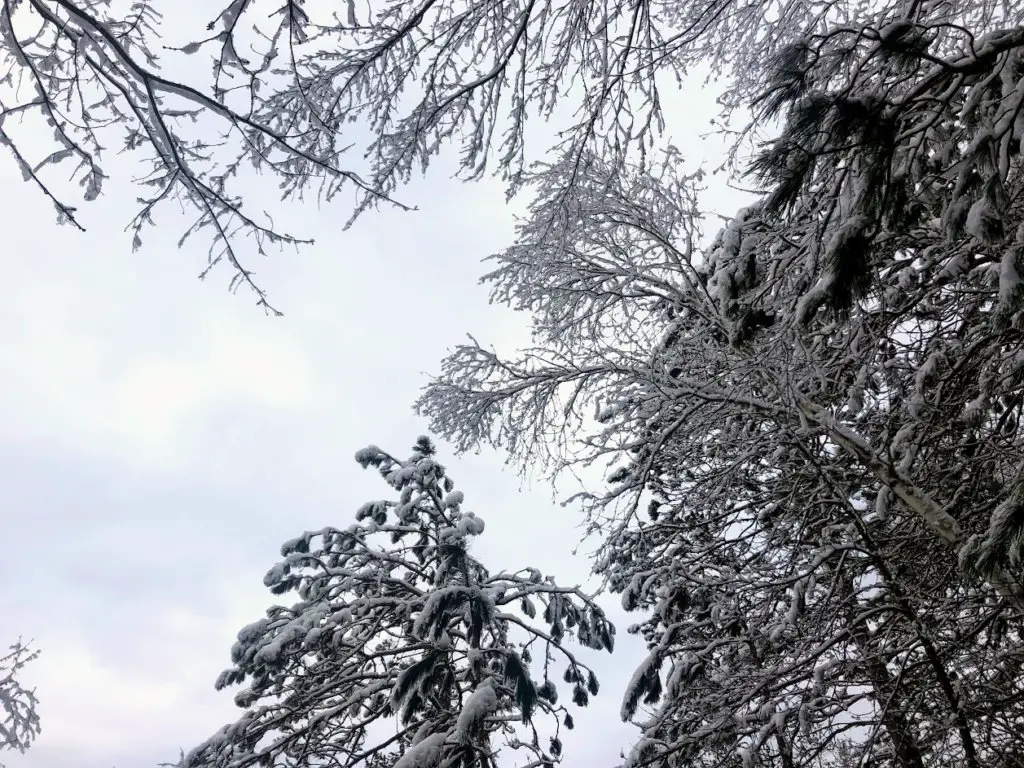  hike during Minnesota winter