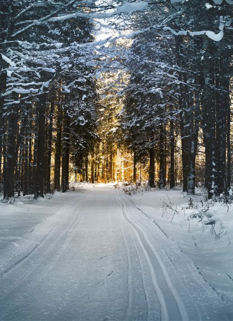 Cross Country Skiing Trails in the Twin Cities