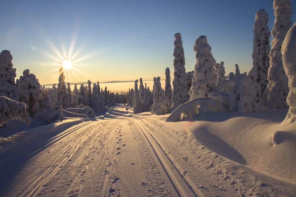 snowshoe trails in the twin cities