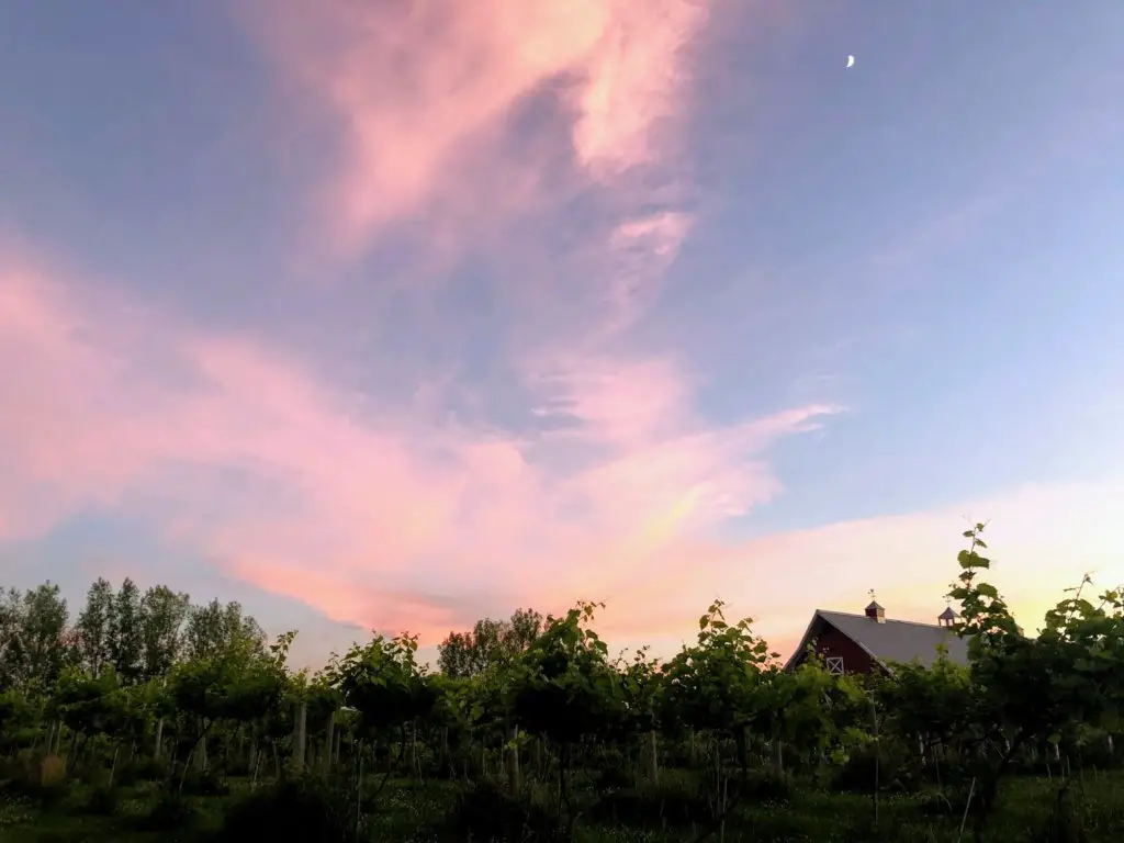 red barn farm northfield minnesota