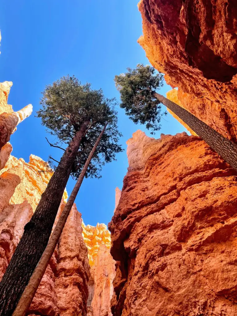 bryce canyon national park end of wall street