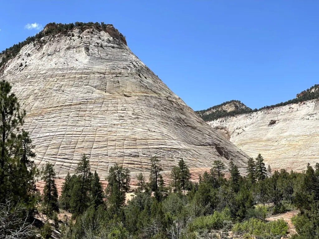 checkerboard mesa zion national park