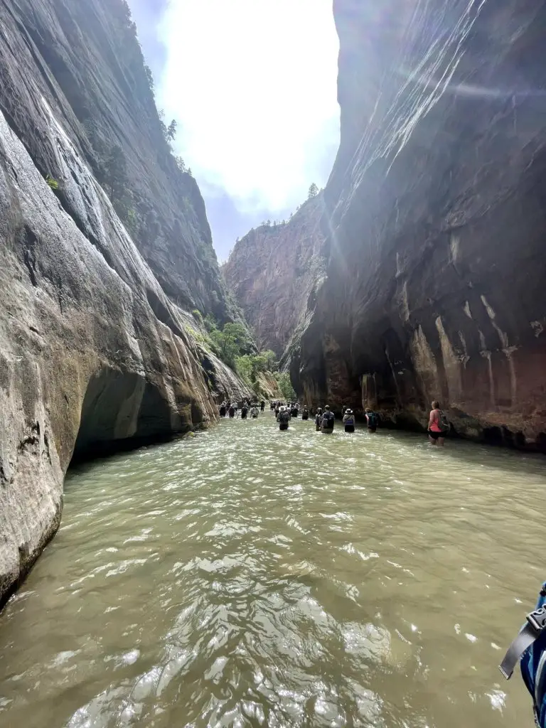 the narrows zion national park