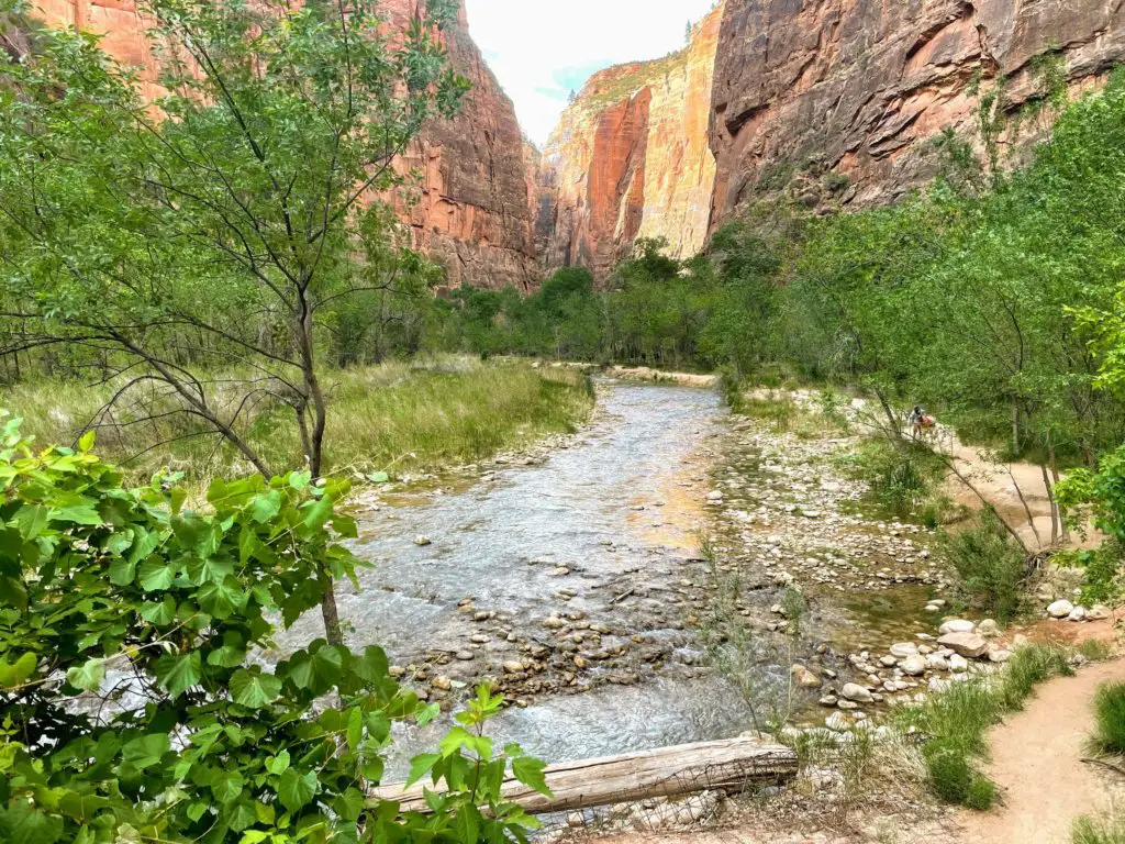 riverside walk zion national park on a Southern Utah Road Trip