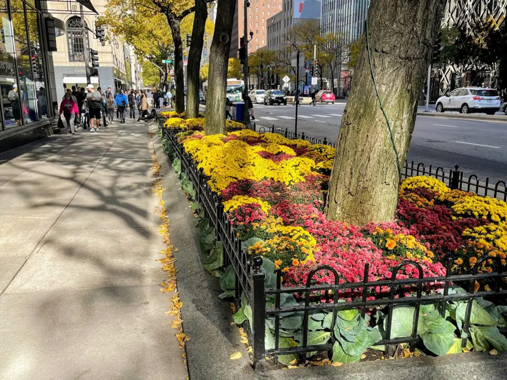 magnificent mile garden