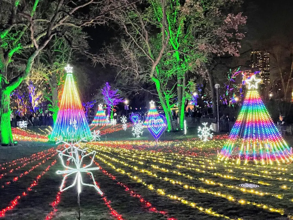 lincoln park zoo lights