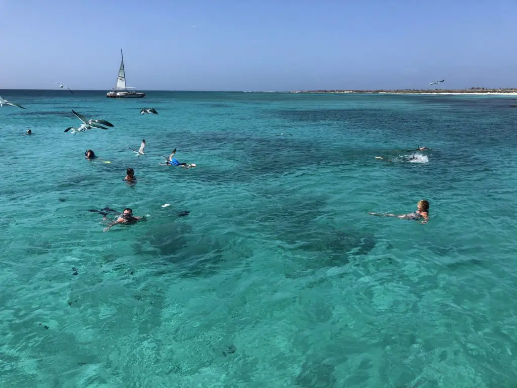 swimming in aruba