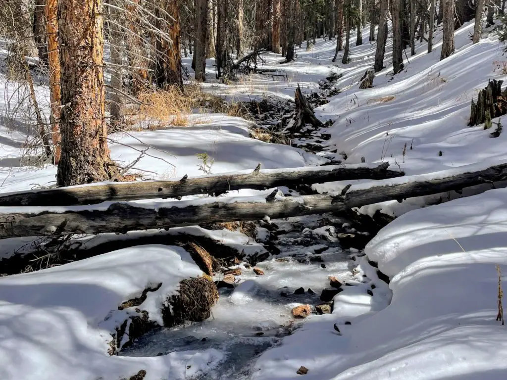 creek on a hike