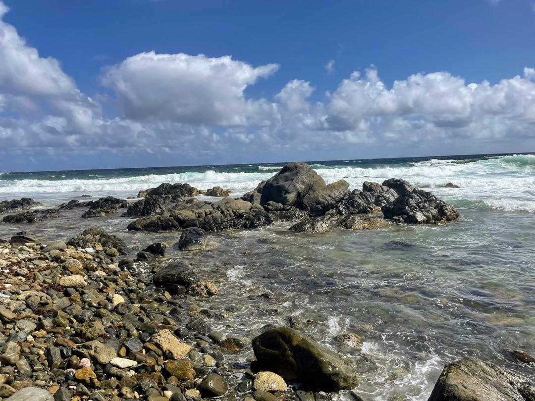 jeep tour aruba