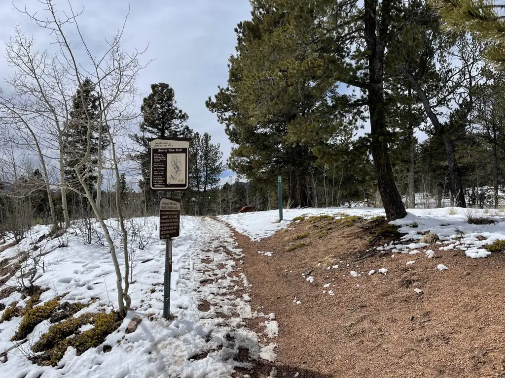 limber pines trail