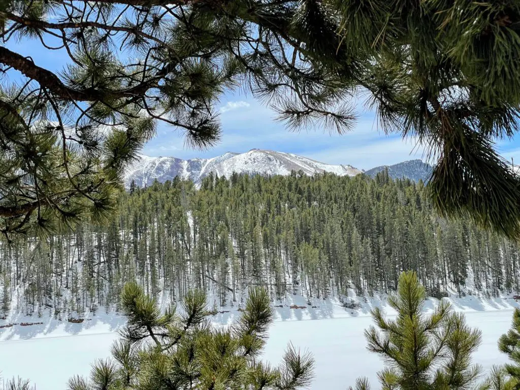 Ring the Peak and Limber Pines Trail