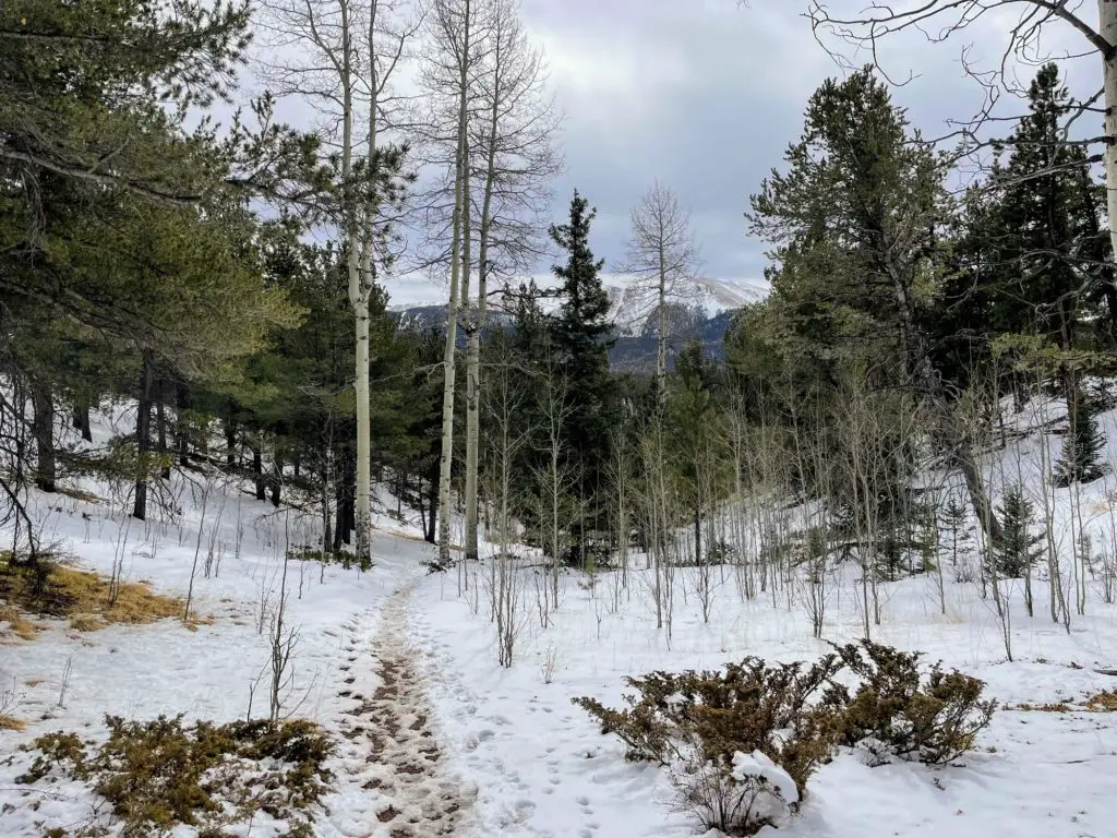 Ring the Peak and Limber Pines Trail