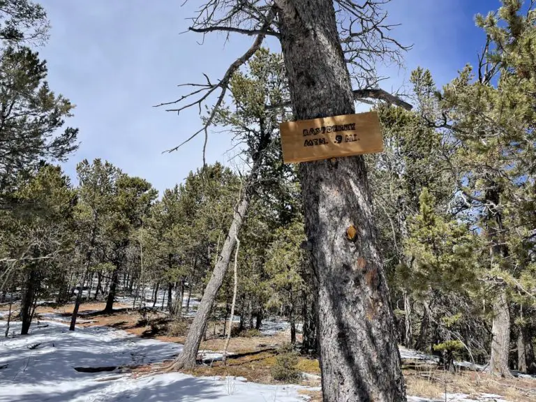 Raspberry Mountain Trail - Divide, Colorado: The Best Hiking Guide ...