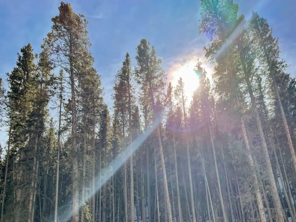 hiking in colorado