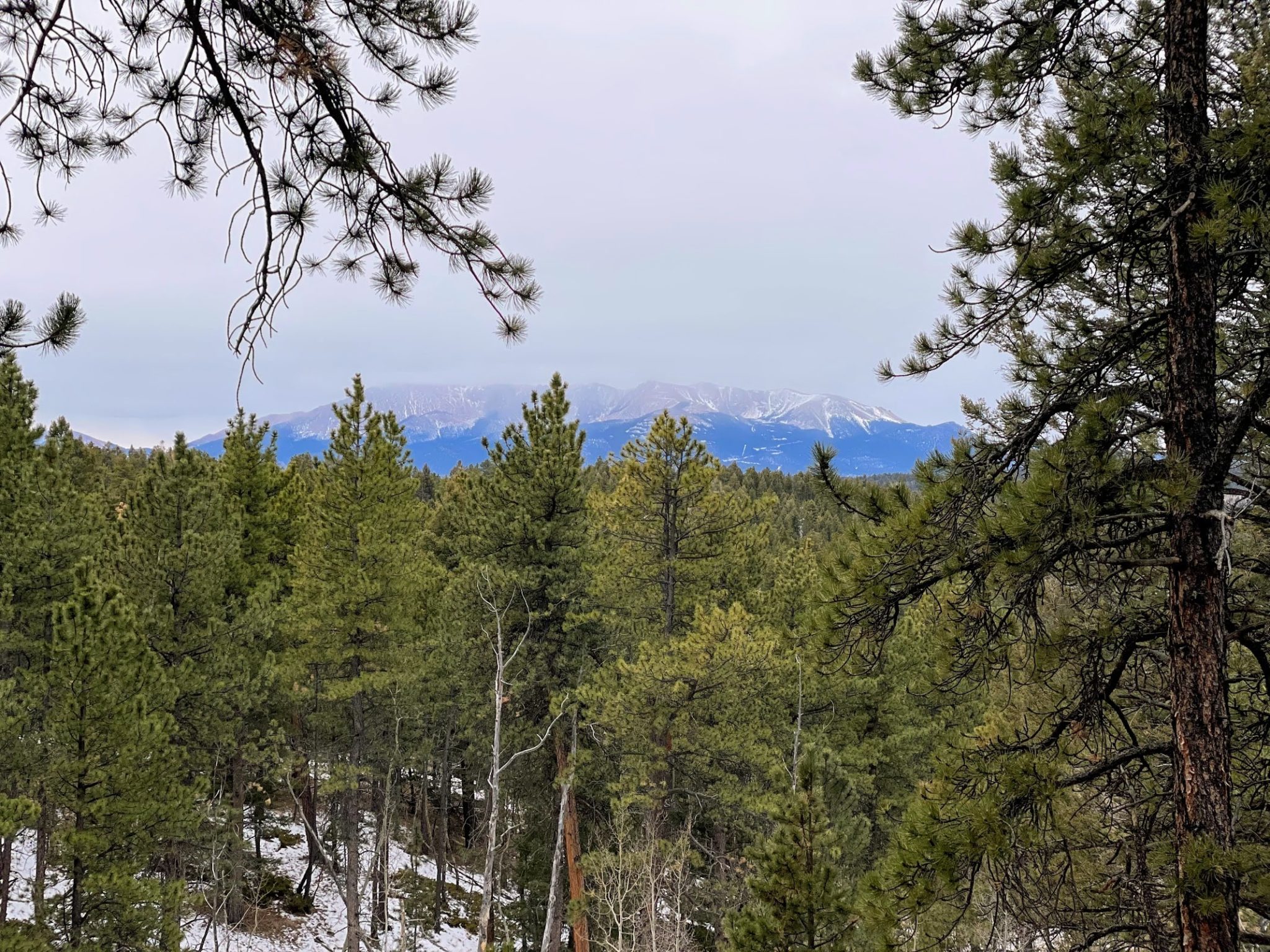 Lovell Gulch Trail - Woodland Park, Colorado: The Best Hiking Guide ...