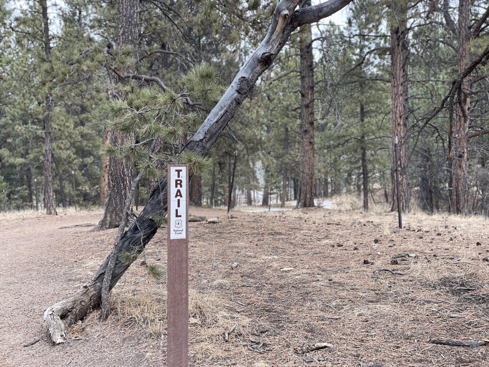 Lovell Gulch Trail - Woodland Park, Colorado: The Best Hiking Guide ...