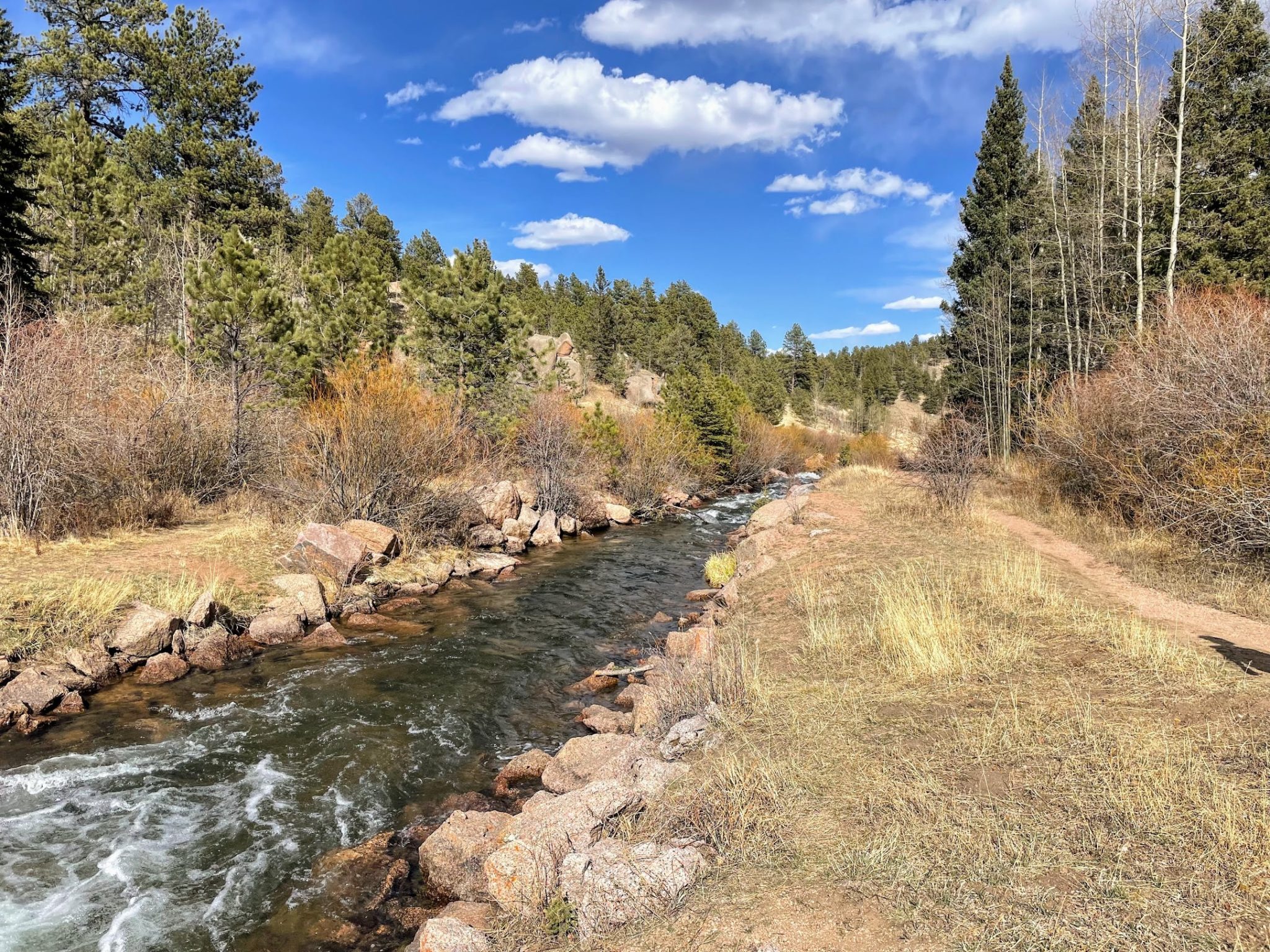 The Best Hiking Trails Near Woodland Park, Colorado 2023 - Little Blue ...