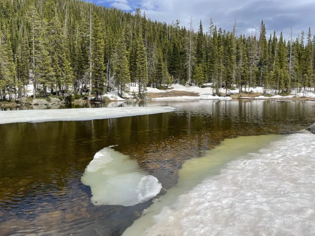 Timberline Lake Trail