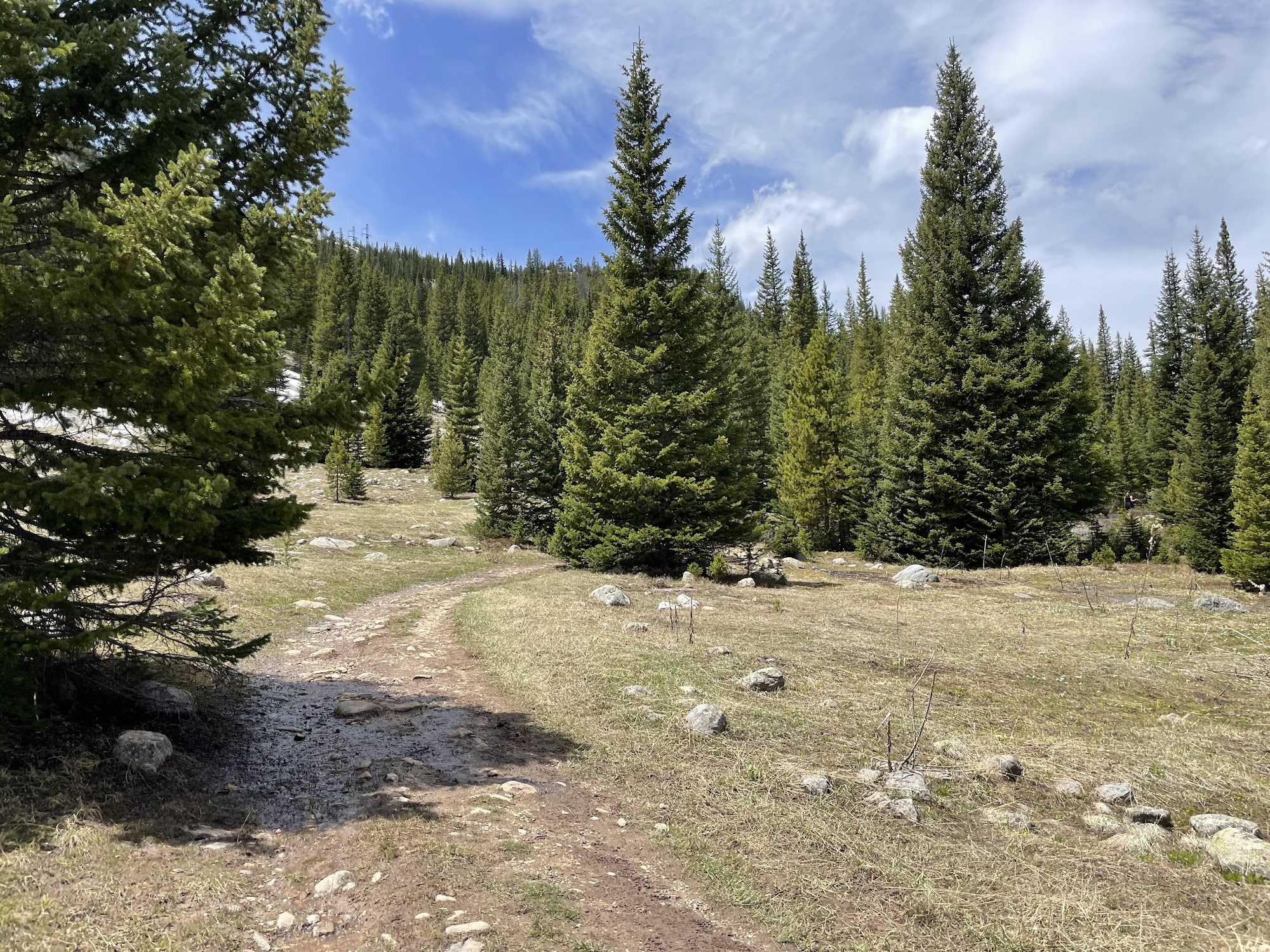 Timberline Lake Trail