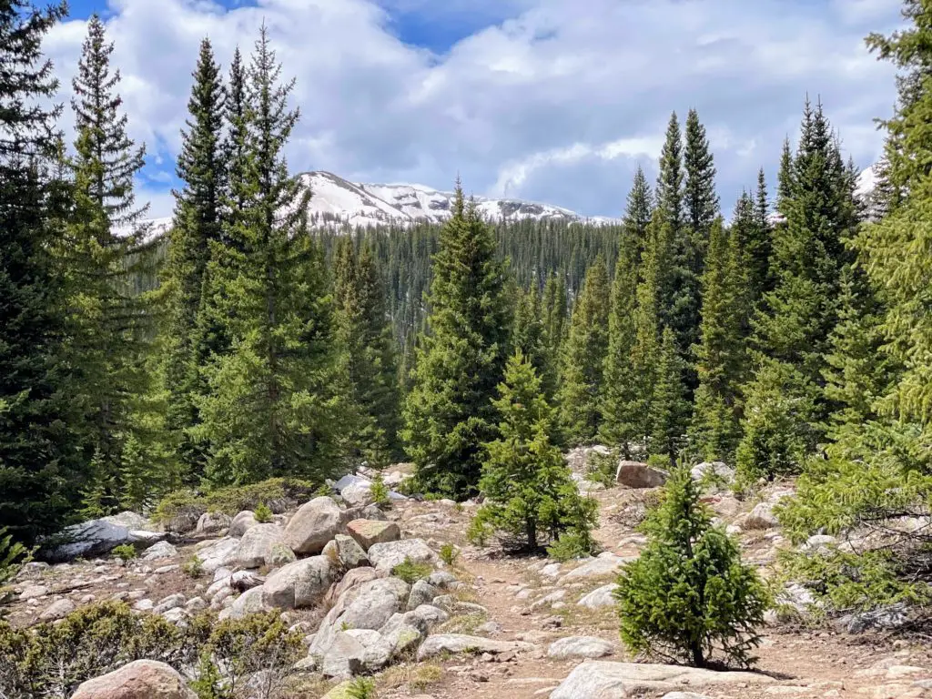 Timberline Lake Trail views