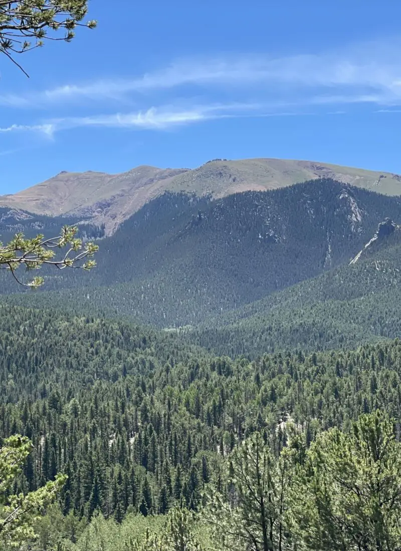 Elder Fehn Hiking Guide: What You Need to Know (Divide, Colorado)