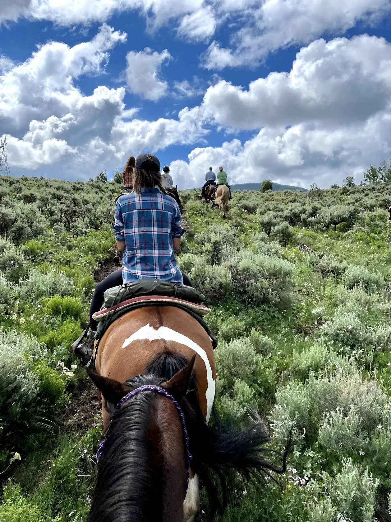 horseback riding colorado